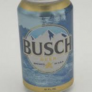 Buschis Saufhütte